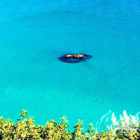 Lisa Capo Vaticano