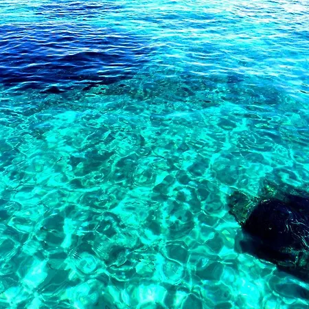 Lisa Capo Vaticano